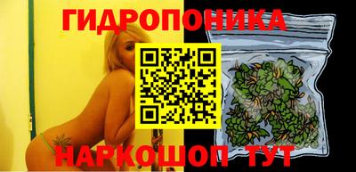 стафф Когалым