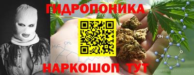 ГАЛЛЮЦИНОГЕННЫЕ ГРИБЫ Ковров