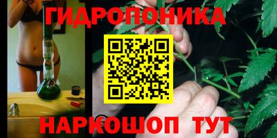 ГАЛЛЮЦИНОГЕННЫЕ ГРИБЫ Ковров